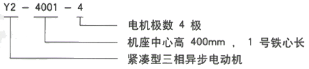 YR系列(H355-1000)高压YKS5007-4/1120KW三相异步电机西安西玛电机型号说明